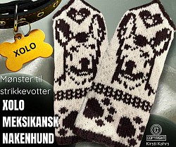 Meksikansk nakenhund votter