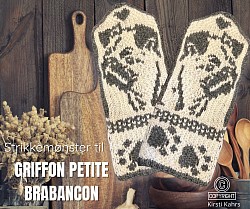 Griffon petite brabancon, korthåret