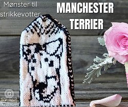 Manchesterterrier strikkevotter