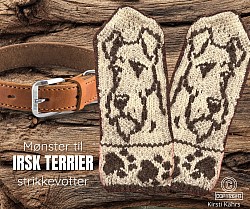 Irsk terrier