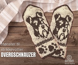 Dvergschnauzer